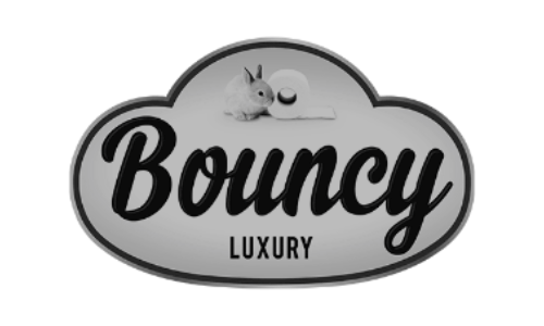 Bouncy2 client-image