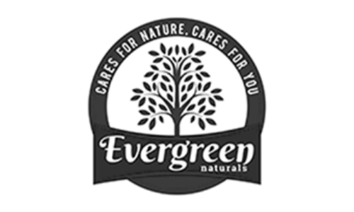 Evergreen2 client-image